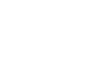 logo dhl blanco