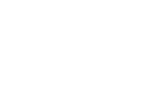logo idema blanco